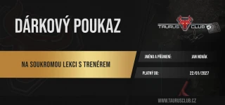 Individuální lekce