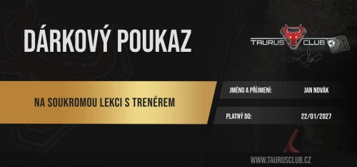 Individuální lekce