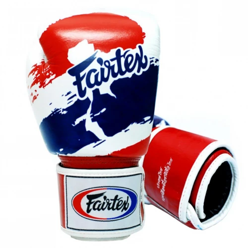 Fairtex Boxerské rukavice BGV1 THAI PRIDE