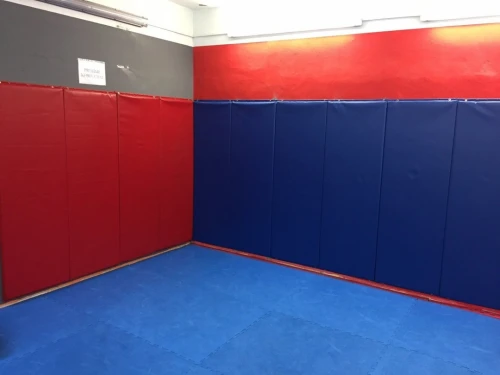 Nástěnná žíněnka - Wall Pad 180x63x4 modrá