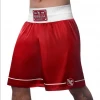 Předchozí