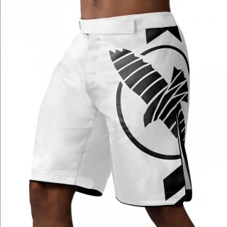 MMA Šortky Hayabusa Icon - bílé