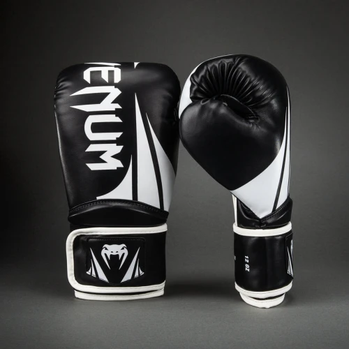 Boxerské rukavice VENUM CHALLENGER 2.5 - černo/bílé