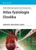 Předchozí