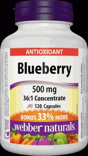 Webber Naturals Blueberry 500 mg 120 cps