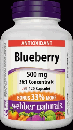 Webber Naturals Blueberry 500 mg 120 cps