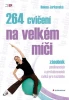 Předchozí