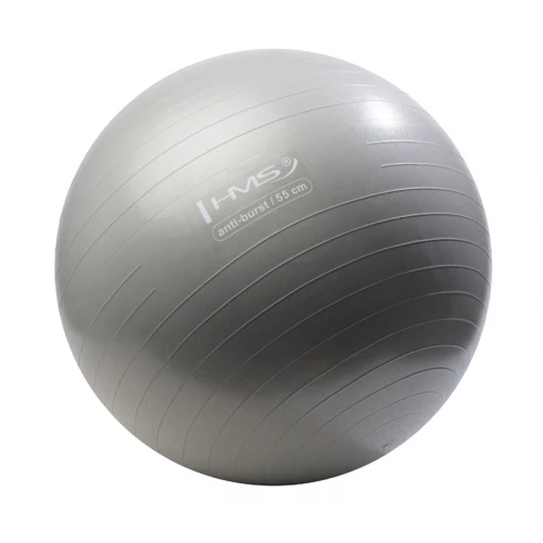 Gymnastický míč HMS YB02N 55 cm šedý