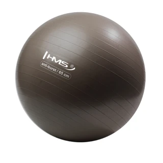 Gymnastický míč HMS YB02N 65 cm bronzový