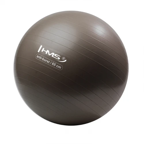 Gymnastický míč HMS YB02N 65 cm bronzový