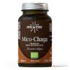 Předchozí: Mico-Chaga Bio 70 kapslí