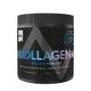 Collagen Beauty Powder 300g blueberry