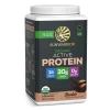 Active Protein BIO 1000g čokoláda